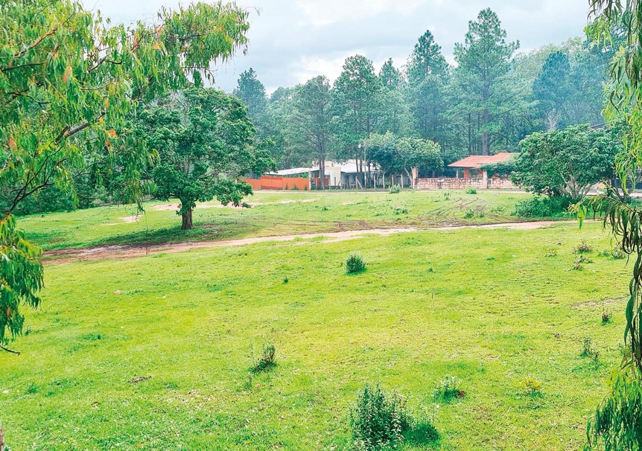 Hotel Cocoview, Bar & Restaurante Valle de Ángeles Eksteriør billede